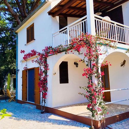 Holiday House Pinus Pinea Viganj Εξωτερικό φωτογραφία
