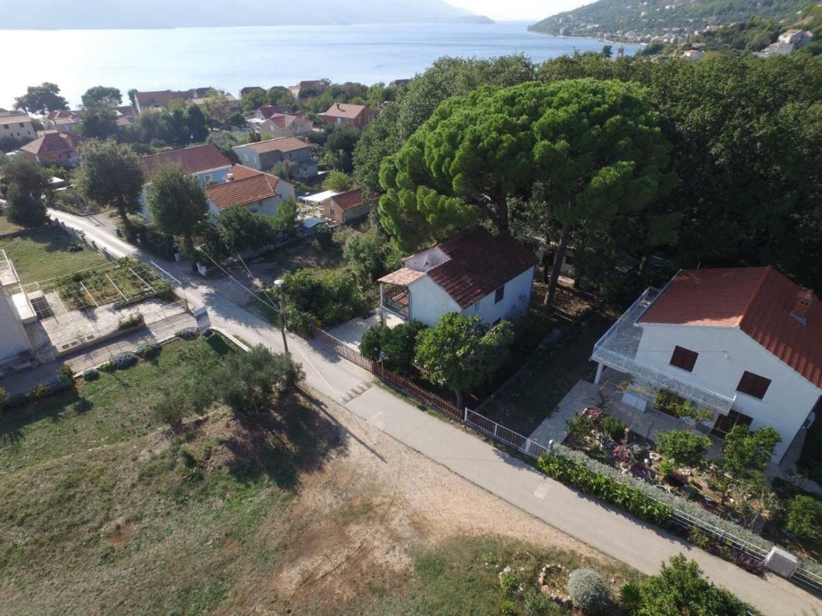 Holiday House Pinus Pinea Viganj Εξωτερικό φωτογραφία